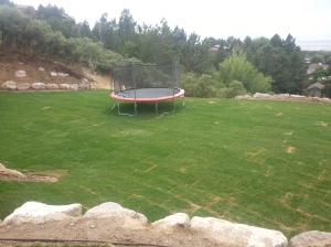 Landscaping in Bountiful Utah, landscaper installing, Huge rock boulder retaining walls, rock walls, Retaining, double pump energy efficient water features, walls, landscaping, Belgard natural gas fire pit, Belgard Mega Laffit Paver patio around the pool, Belgard Paver walls in Belair with belair caps, Paver fire pits, trees, topsoil, sod from bio grass sod farms, Landscape construction, landscaping in Bountiful, Utah